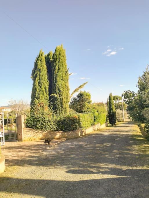 Villetta Rio, Large Private Garden Cecina (Livorno) Exterior foto